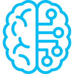 brain illustration