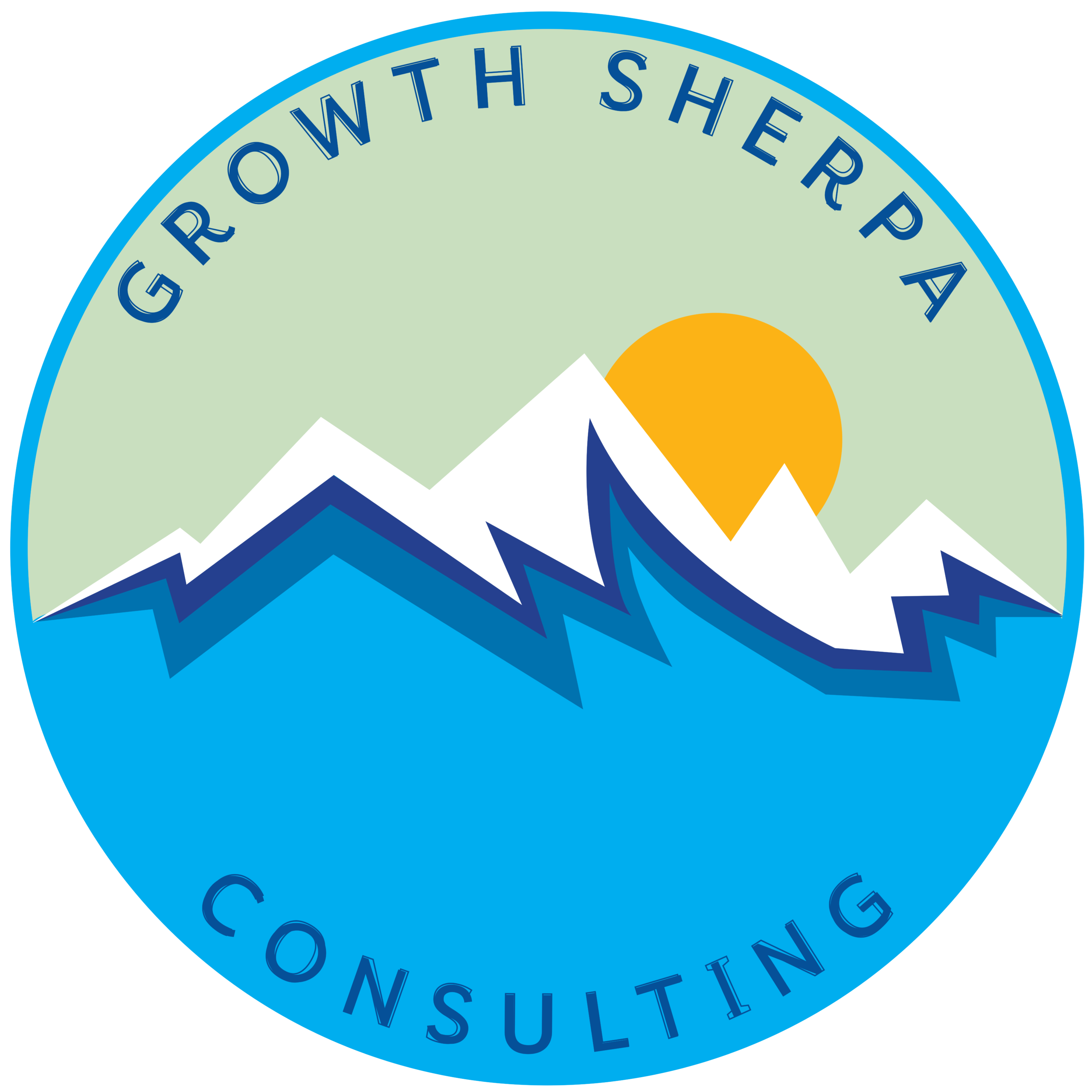 Growth Sherpa Consulting image